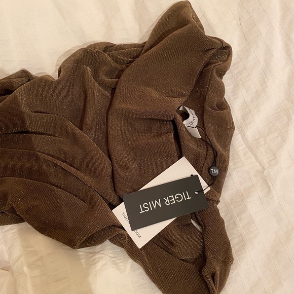 Tiger Mist Cobi Dress in Brown - Picture 2 of 2